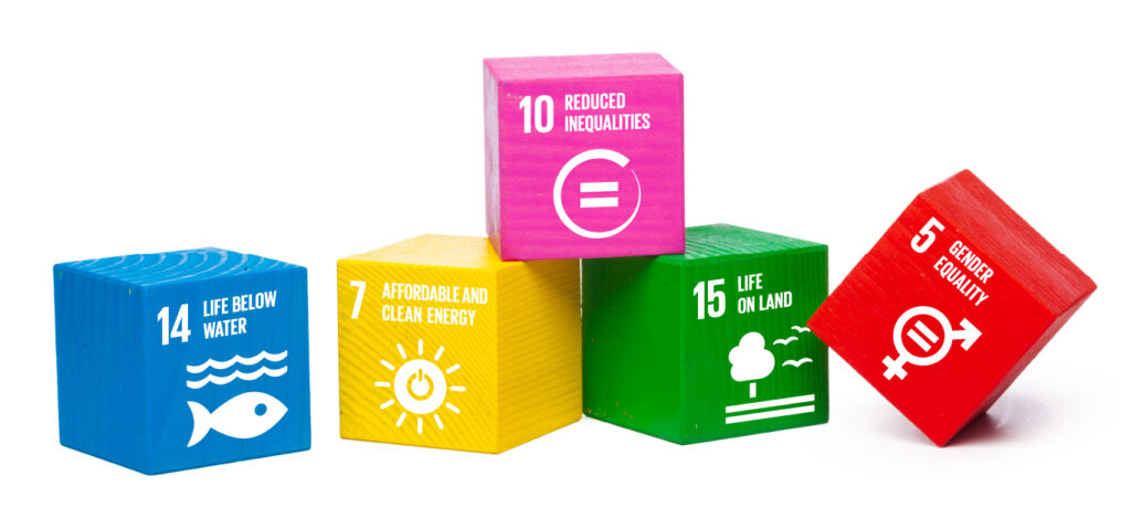 Colorful wooden blocks with SDG goals printed on the front.