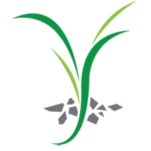 Mighty Epiphyte