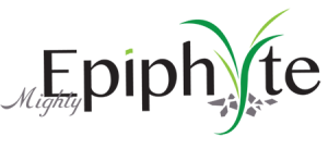 Mighty Ephiphyte
