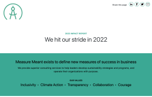 Measure Meant impact report